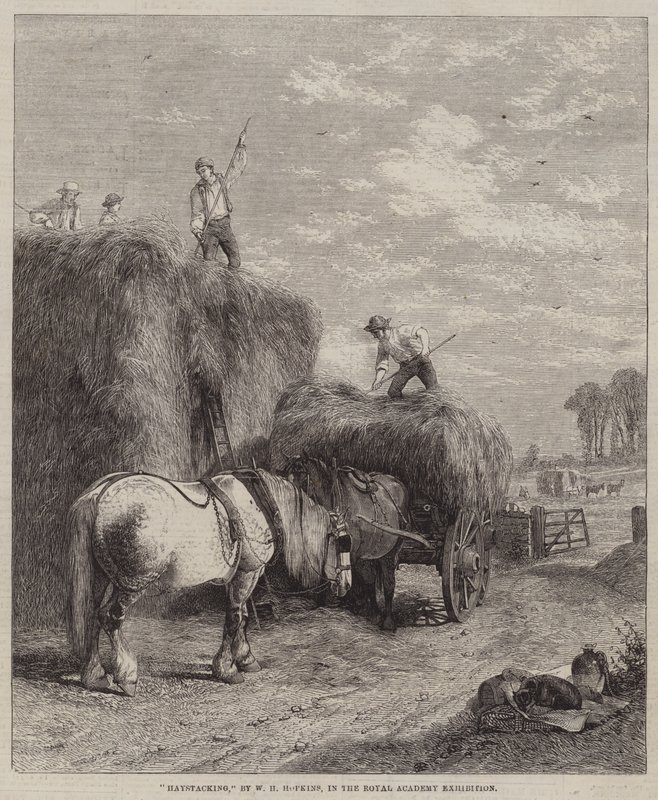 Haystacking by W.H. Hopkins