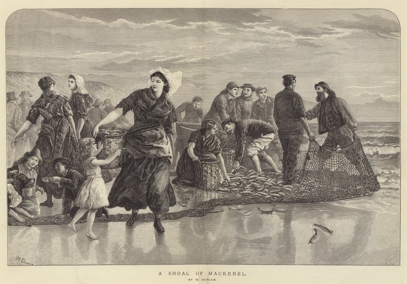 A Shoal of Mackerel by Walter Duncan