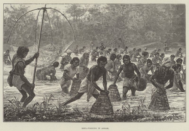Beel-Fishing in Assam by Walter Paget