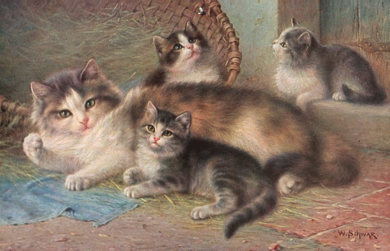 Cat postcard by Wilhelm Schwar
