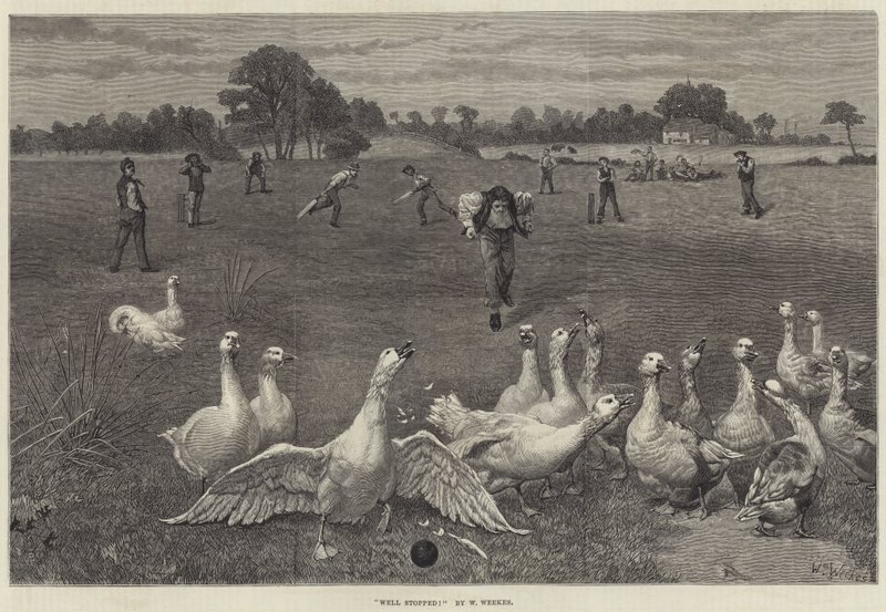 Well Stopped! by William Weekes