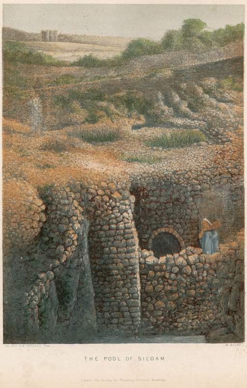 The Pool of Siloam by William Dickes