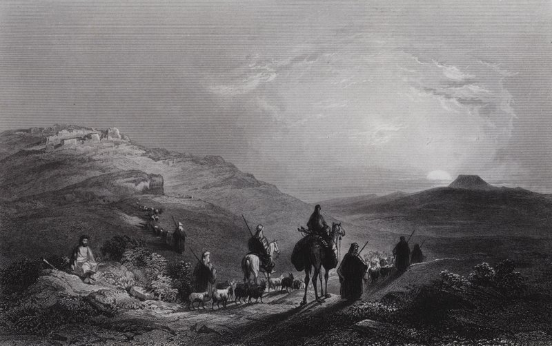 Tekoa by William H. Bartlett