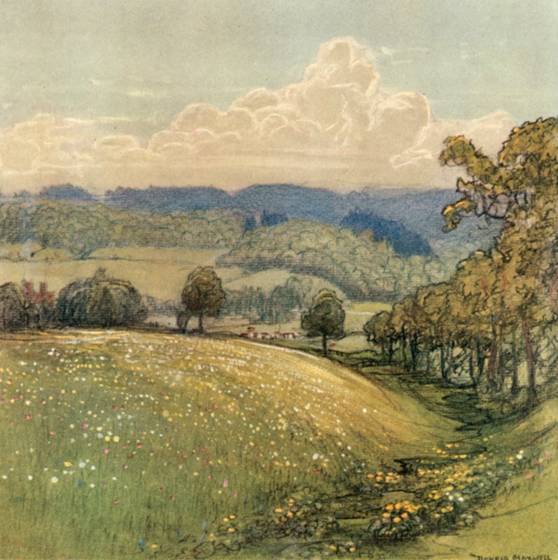 Sussex by after Donald Maxwell